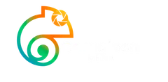 Camaleón Media